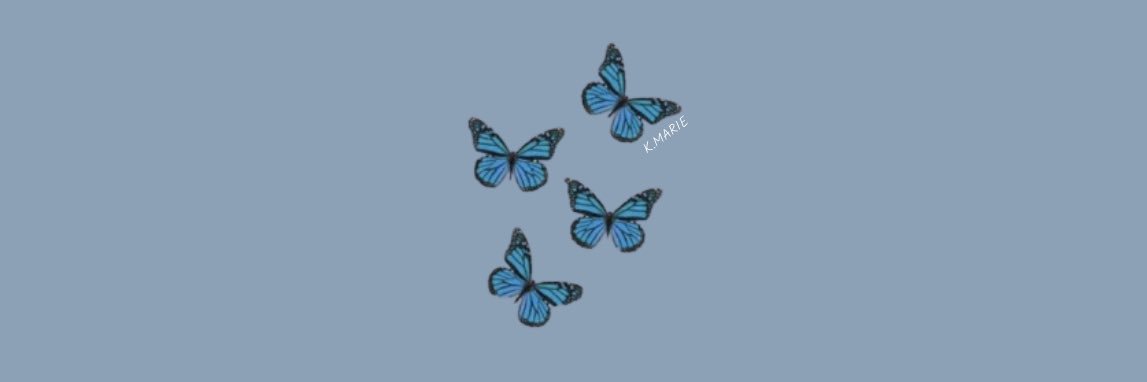 GraceMay21's profile banner image