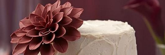 DitsyPatty's profile banner image