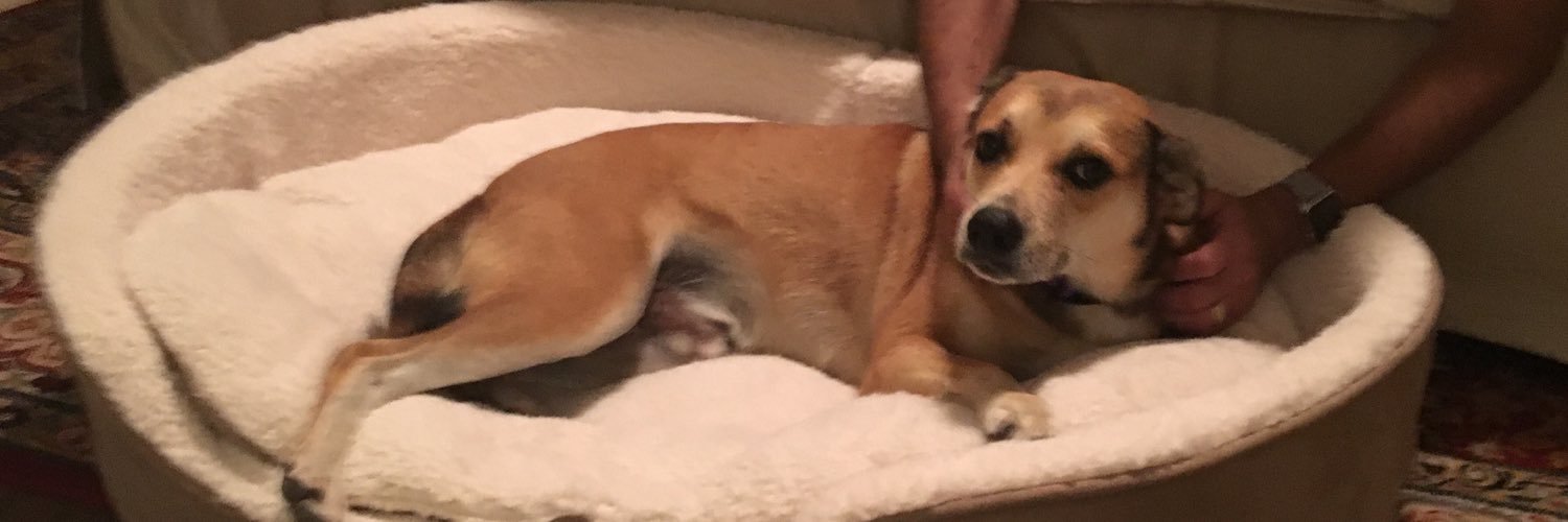 𝖮𝗌𝗐𝖺𝗅𝖽 𝖳. 𝖡𝖾𝗋𝖻𝗎𝗋 banner