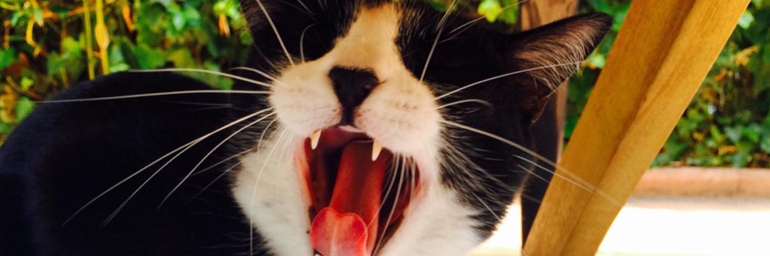 Jaritomalo's profile banner image