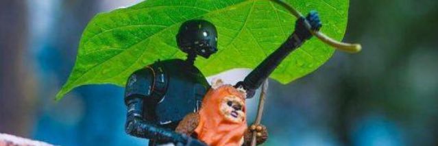 Scalonista de corazón, Cruyffista de nacimiento banner