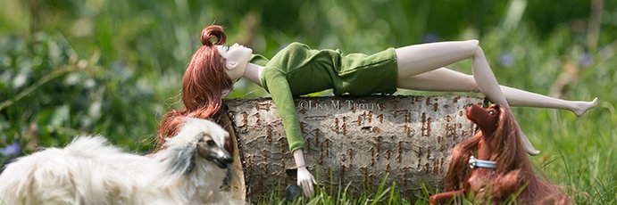 lmtrotta's profile banner image
