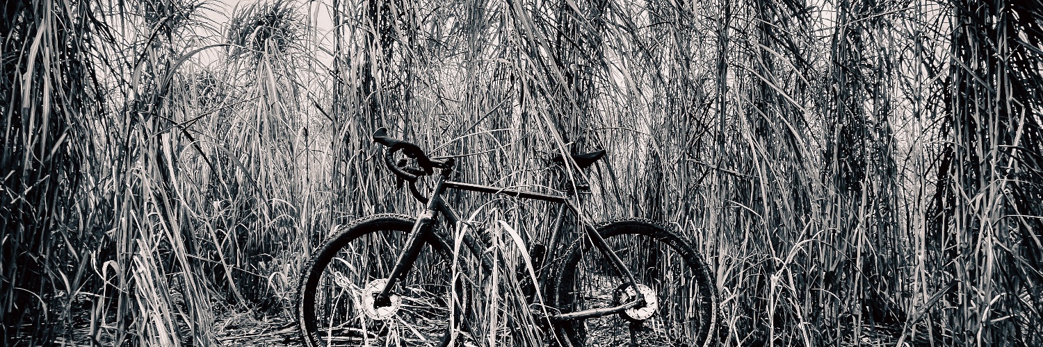 seasidemagpie's profile banner image