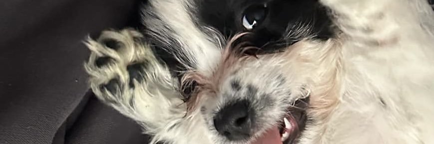 Lowerthanhannah's profile banner image