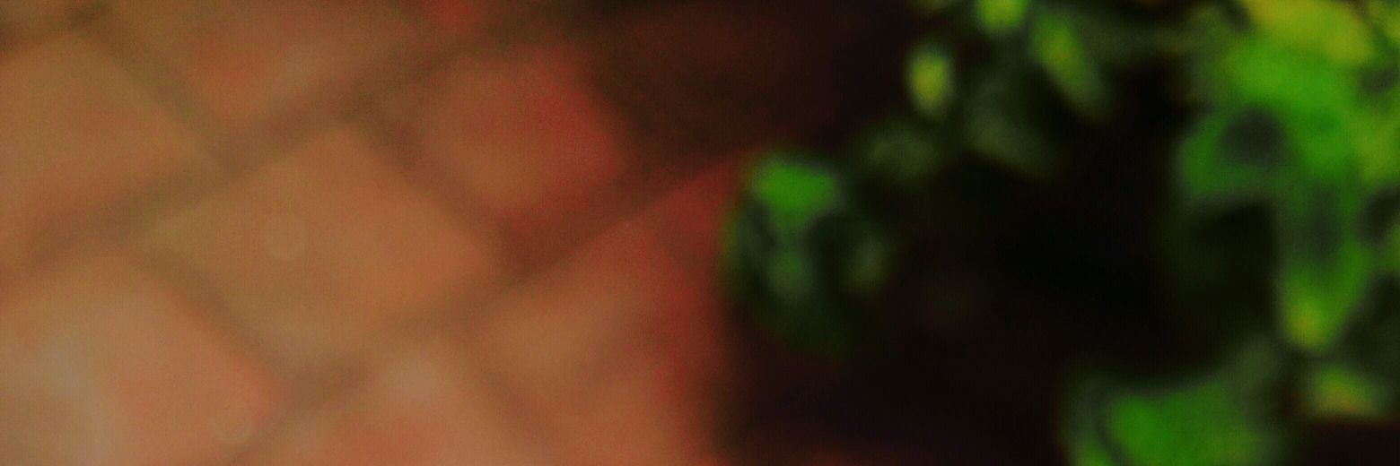 praveen3003's profile banner image