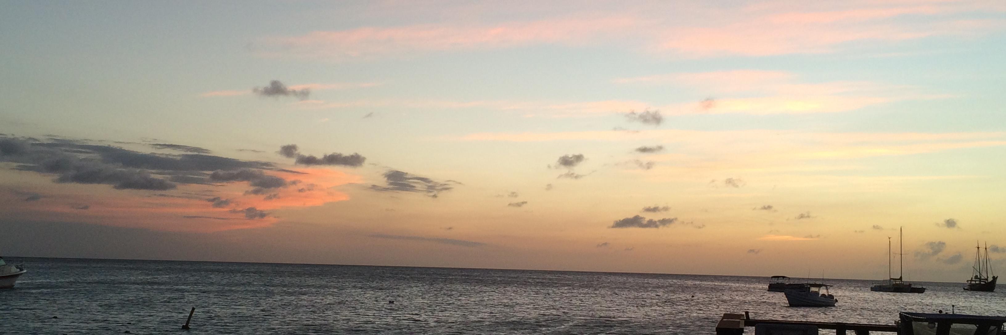 NealTomasin's profile banner image