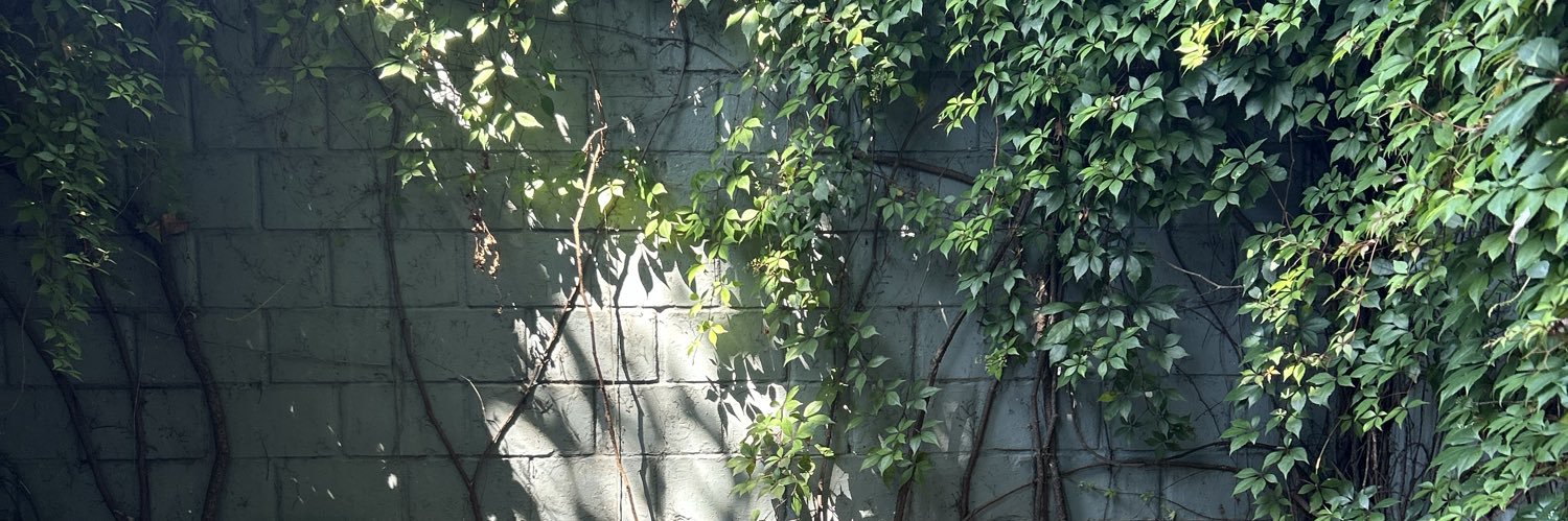 dantego09's profile banner image