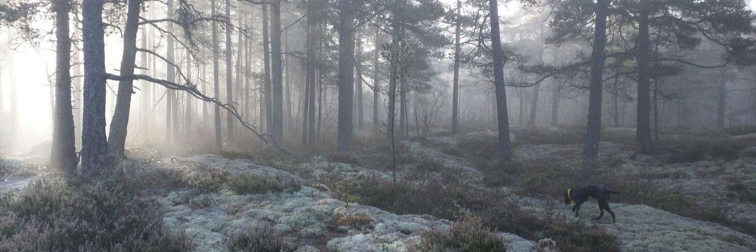 Helena Sjögren banner
