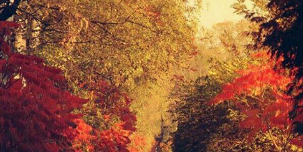 StephanyAnMcr's profile banner image