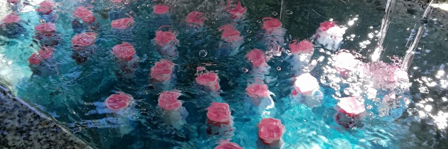 petit_beaver's profile banner image