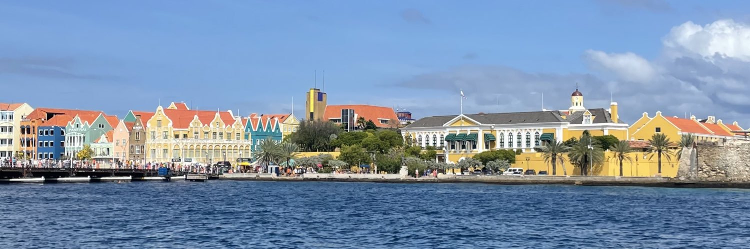 D-J. Roelfsema banner