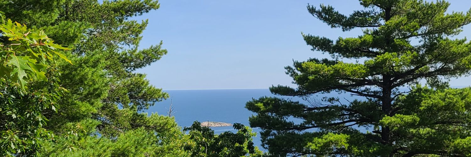 rgombar1's profile banner image