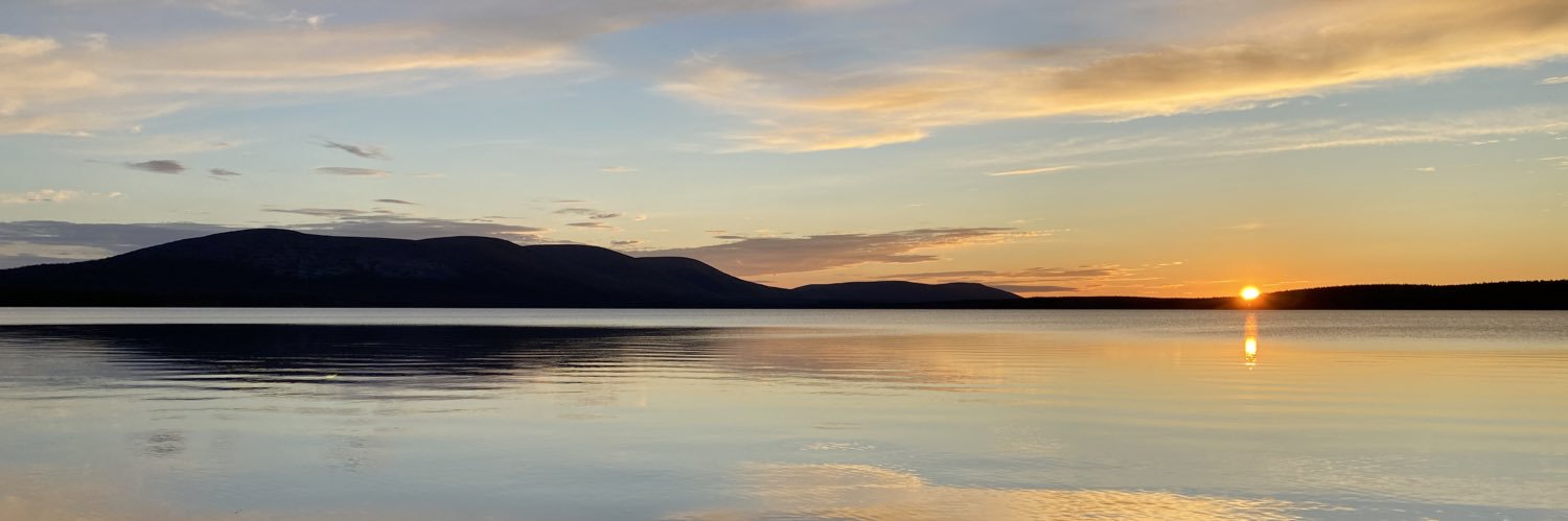 Beliaev Andrei banner