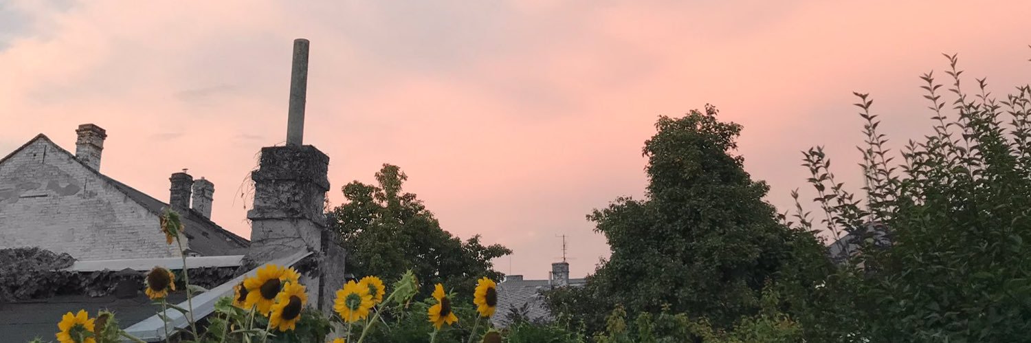 fily_fall's profile banner image