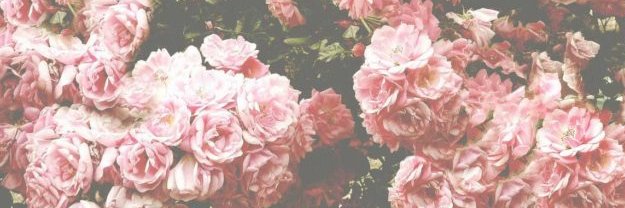 ninaaub's profile banner image