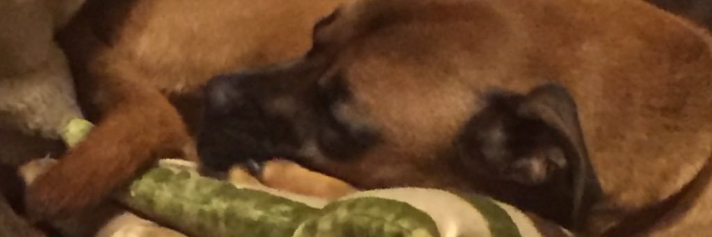 Phughes3's profile banner image