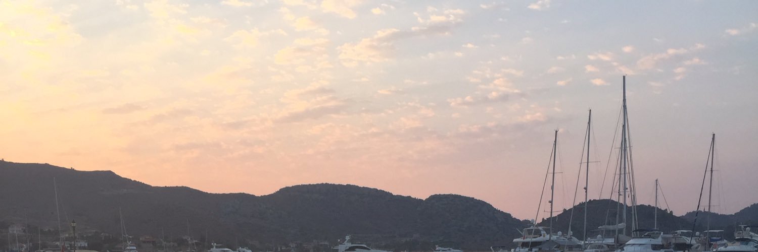 altvez's profile banner image