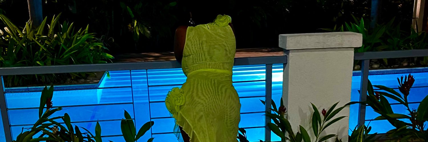 Tan✨ banner