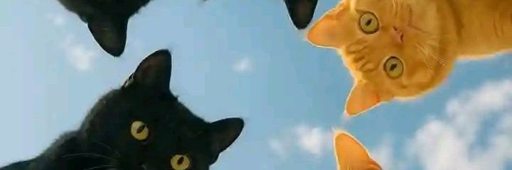 Liljay lee 🥏 banner