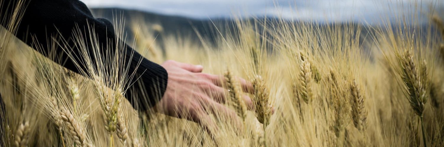heycoreypaige's profile banner image