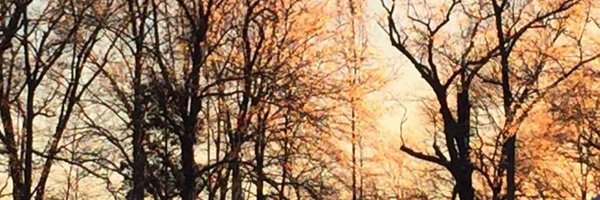 teidson Profile Banner