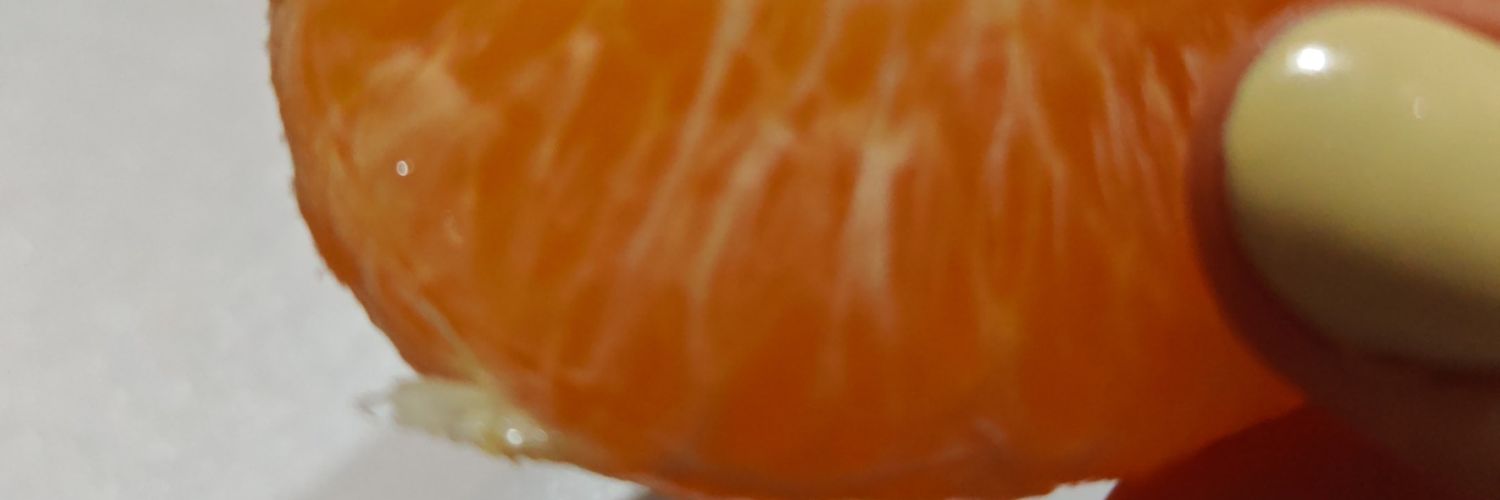 waidenwolf's profile banner image