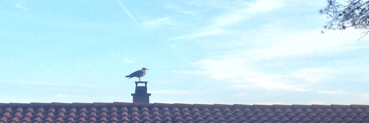 Patrizia Violi banner