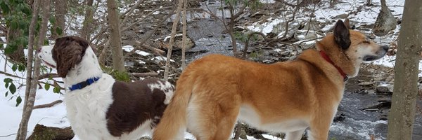 JonahDispatch Profile Banner