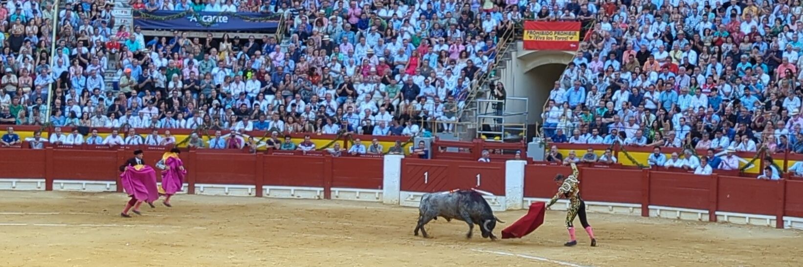 Facha exiliado ✋🇪🇸🦅 banner
