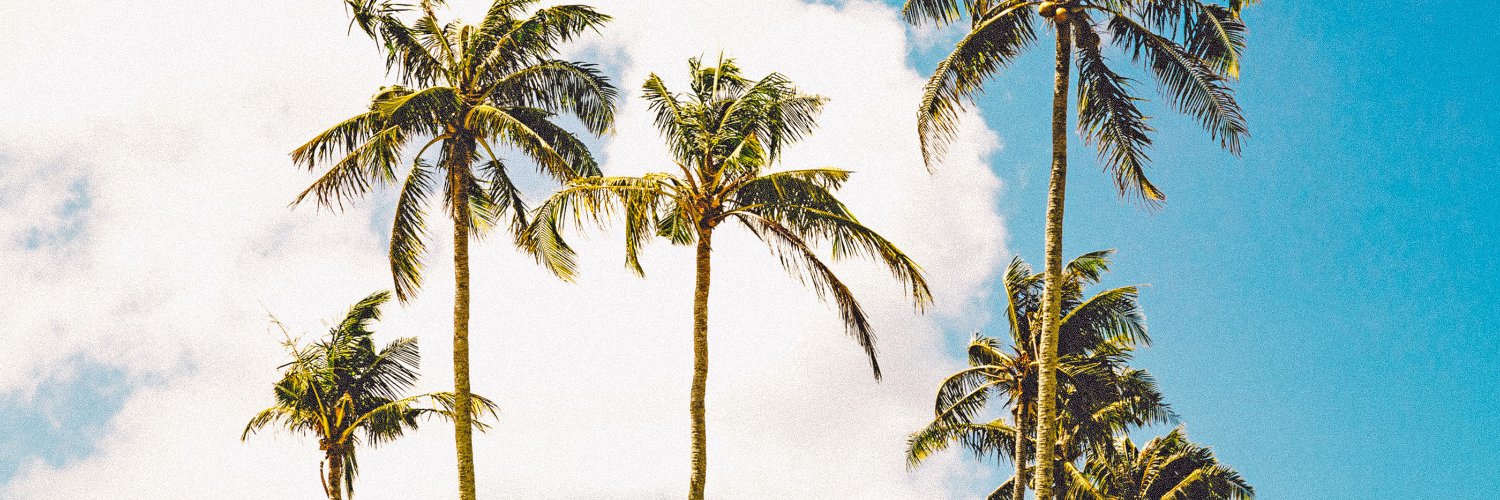 httpister's profile banner image