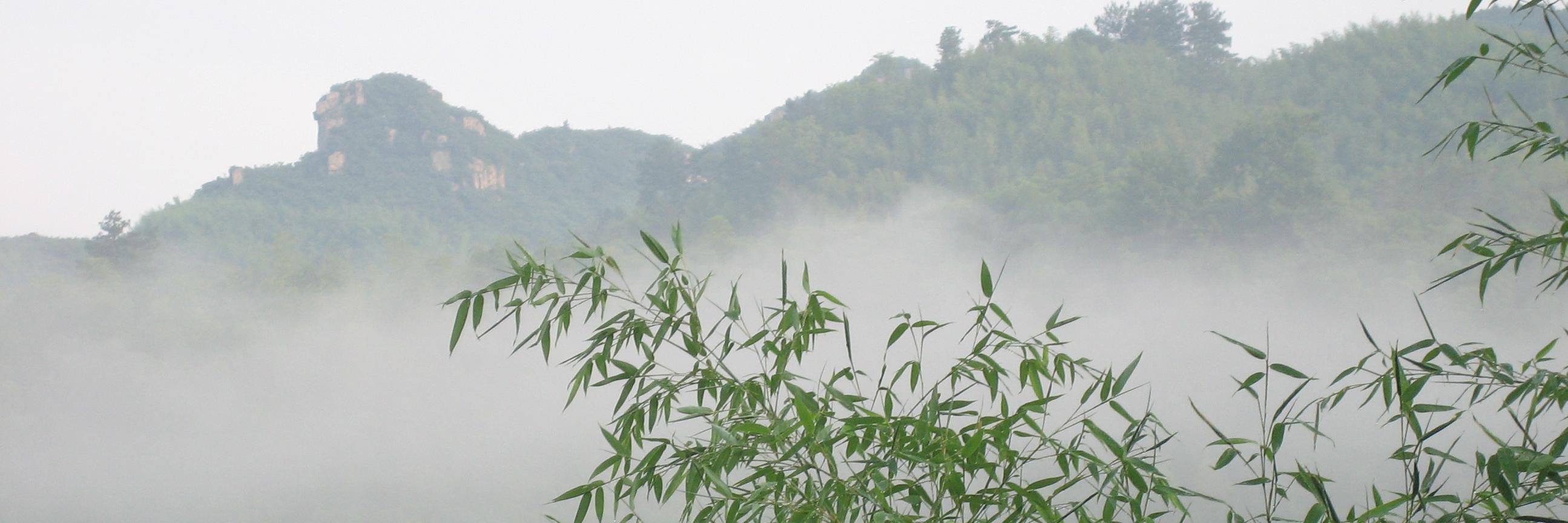 M. Zhang banner
