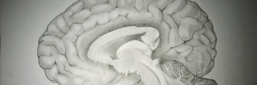 Karl Y. Bosque-Cordero, Ph.D. banner