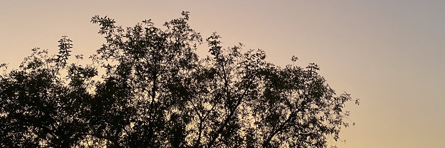 yolsem001's profile banner image