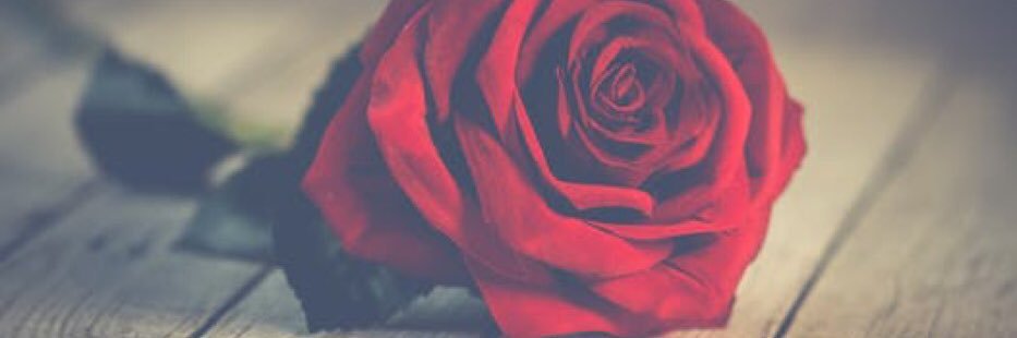 SNabegu's profile banner image