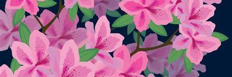 Elizabeth banner
