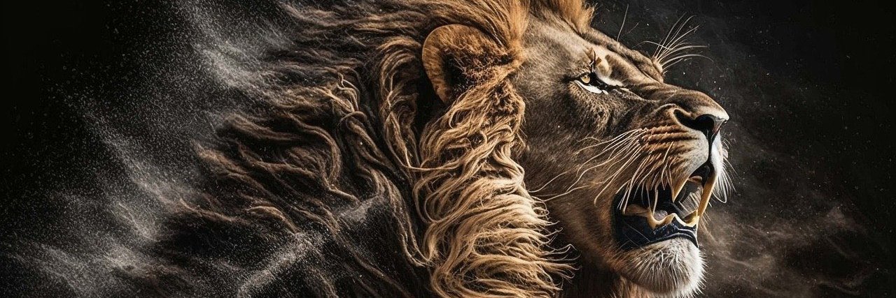 Lyon XIV Manríquez 🦁⚽️ banner