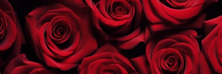 sweettess83's profile banner image