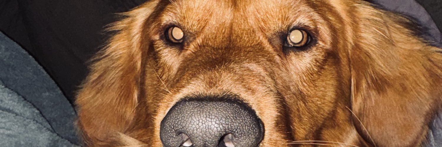 mcbride_hunter's profile banner image