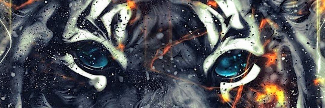 Lunc79's profile banner image