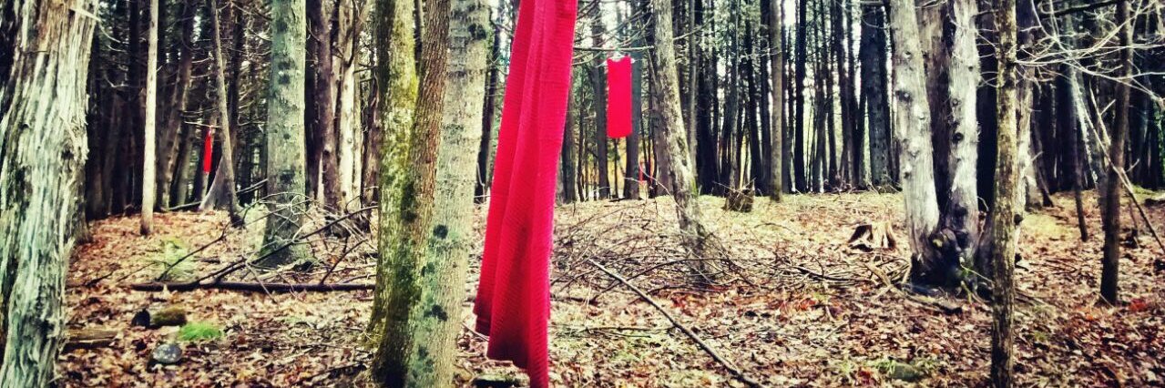 Senator Yvonne Boyer banner