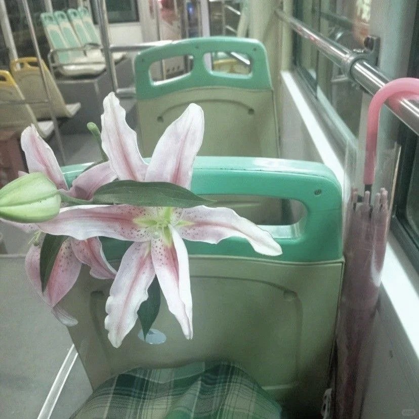 亚里士缺德 banner