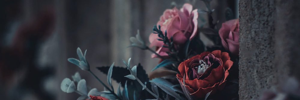 hellocuppycakez's profile banner image