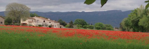 t_dordal Profile Banner