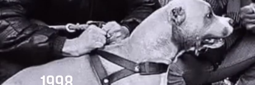 mrymgvng's profile banner image