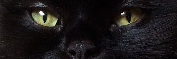 karabinjera Profile Banner