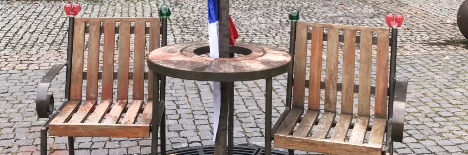 Karin 🍀🇨🇿🦁 banner