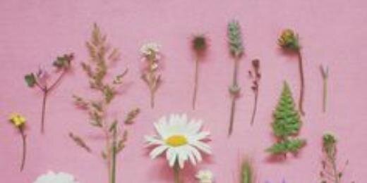 aaaannitta's profile banner image