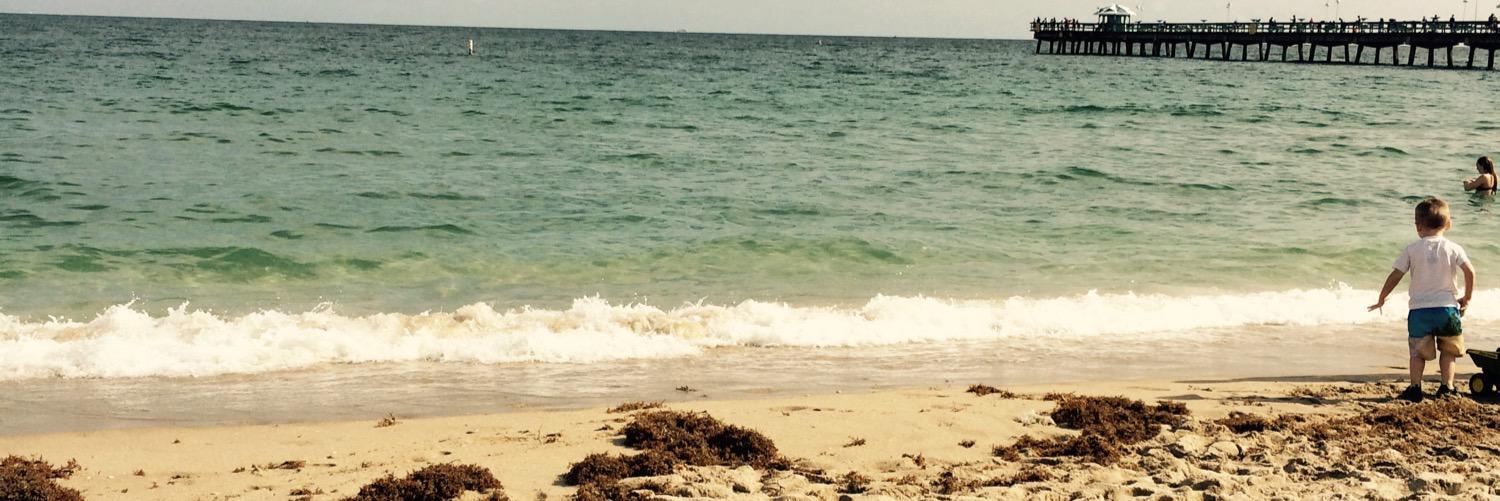 sydney atkinson☀️ banner