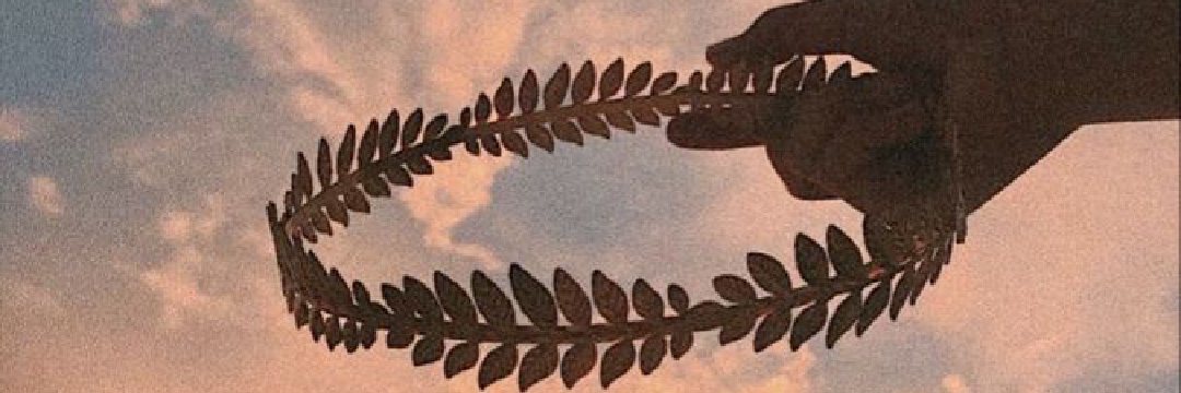 cactacea_gr's profile banner image