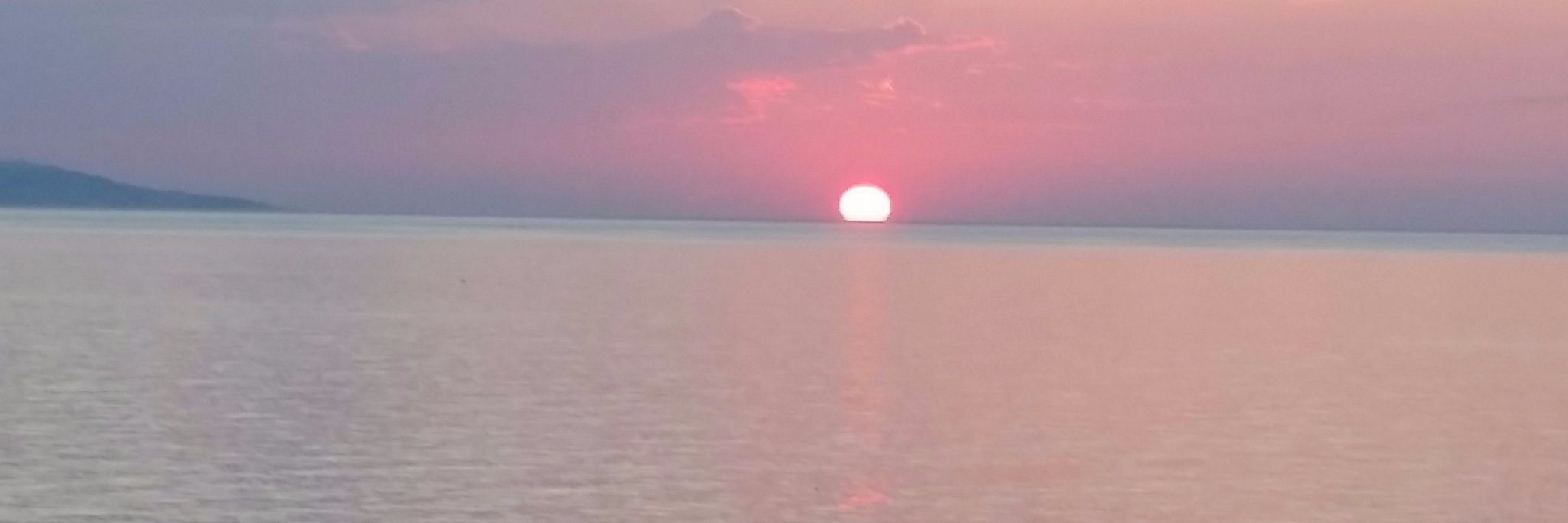 Sharon_Roden's profile banner image